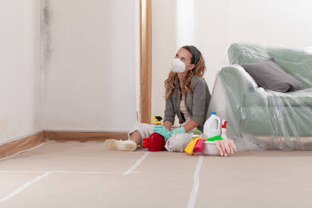 Reliable Bathroom Mold Removal contractor in Greeley, CO by Mold Remediation HQ